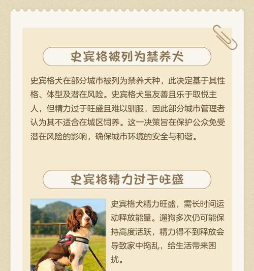 关于以史宾格犬的饲养（保护我们的爱犬健康和安全的饲养禁忌）