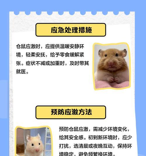 仓鼠中暑的恢复时间及护理方法（仓鼠中暑的症状、治疗与预防）