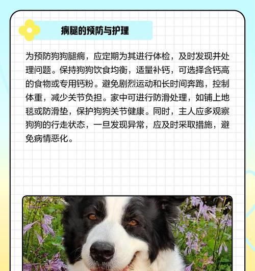 狗狗爪子的颜色变化（揭秘狗狗爪子的神秘变化，探究为何它们会从粉嫩变成全黑）