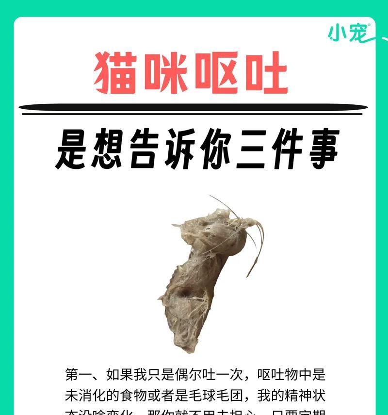 猫咪怀孕多久会呕吐？（探究猫咪怀孕期间的呕吐现象及其原因）