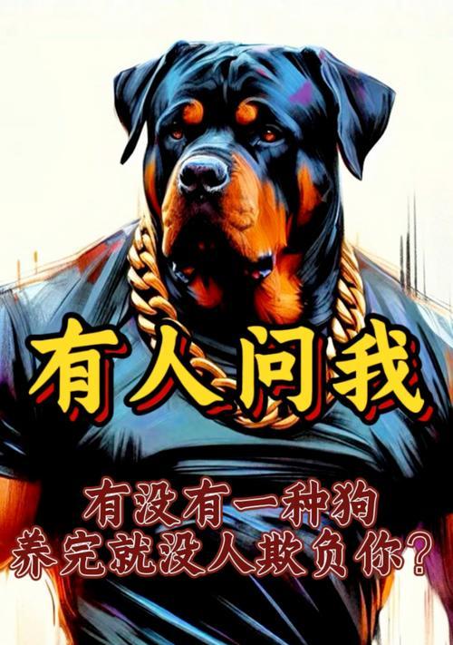 养狗的益处与困惑（为什么还有很多人依然没有狗狗呢？）