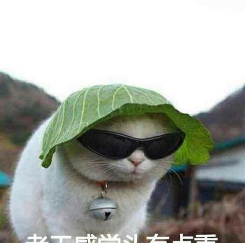 阿拉斯加犬微量元素缺乏的危害与预防措施