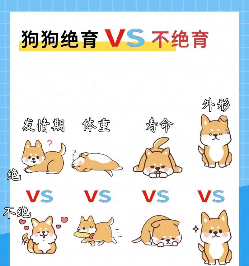 狗狗绝育的情况和坏处（哪些情况下建议狗狗绝育、狗狗绝育的不良影响）