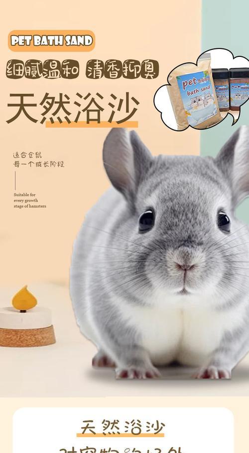 仓鼠的浴沙时间究竟是多久？（探究仓鼠在浴沙中逗留的最佳时长及注意事项）