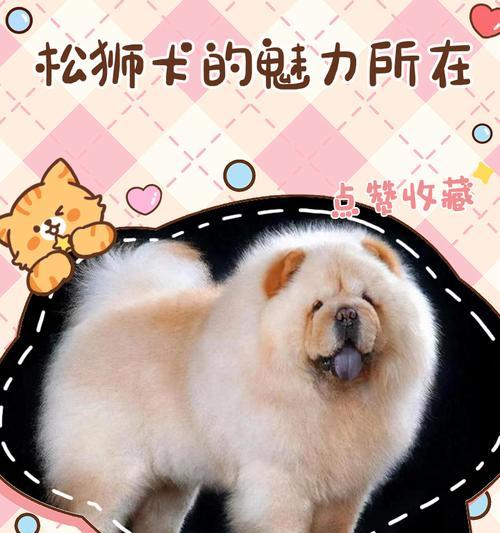 松狮犬的繁殖周期与生产时间（探究松狮犬一胎生产周期及其影响因素）