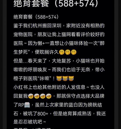 以美短多久绝育的最佳时机（美短绝育的关键因素及注意事项）