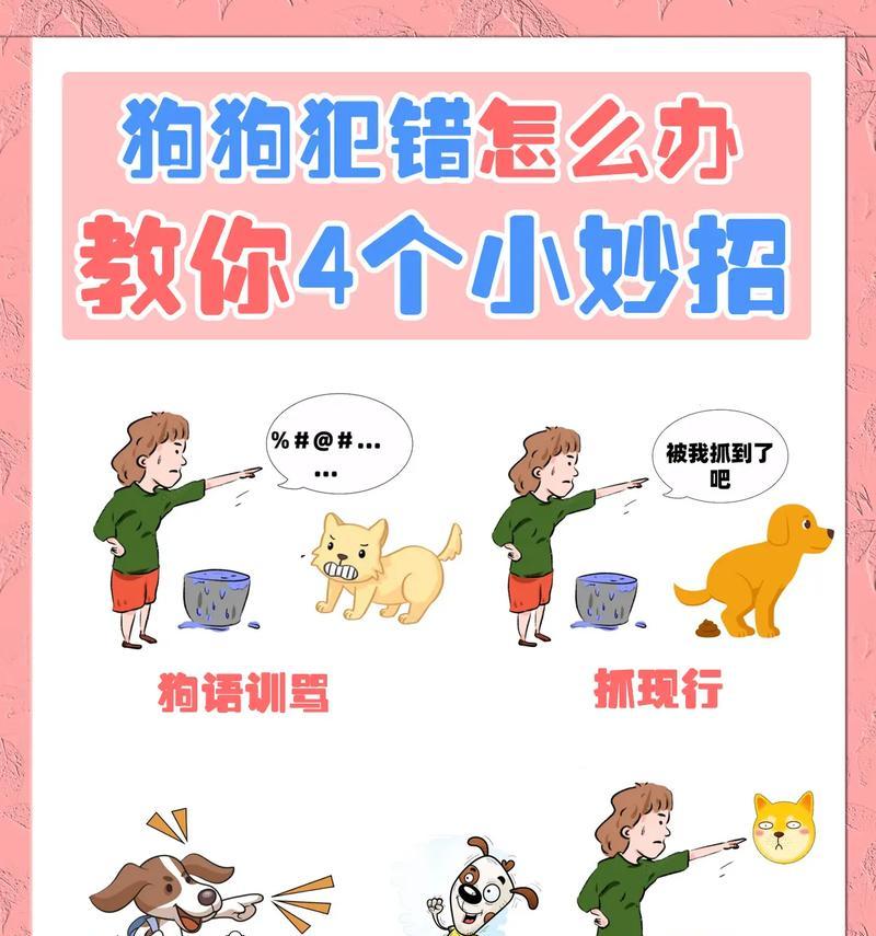 小狗吃多了拉稀怎么办？教你3种方法（宠物饮食管理的重要性及应对拉稀的有效措施）
