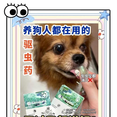 小狗驱虫后多久拉虫是正常现象吗？（解答小狗驱虫后出现拉虫现象的时间和原因）