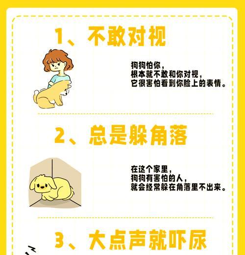 狗狗害怕的异常表现解析（揭秘狗狗害怕时的表现与应对方法）