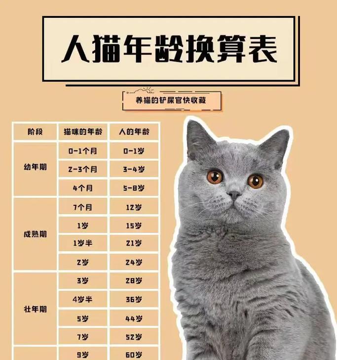 小猫何时开始长牙？（揭秘小猫长牙的时间及注意事项）
