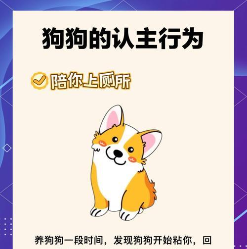 当狗狗出现这5个迹象，注意！它可能已经运动过量了（狗狗健康管理的关键提示，主人要重视！）
