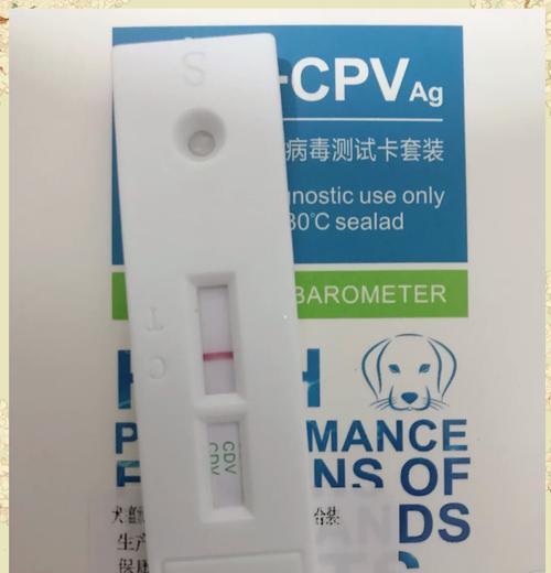犬瘟病治愈周期的分析（探讨犬瘟病康复所需的时间及关键因素）