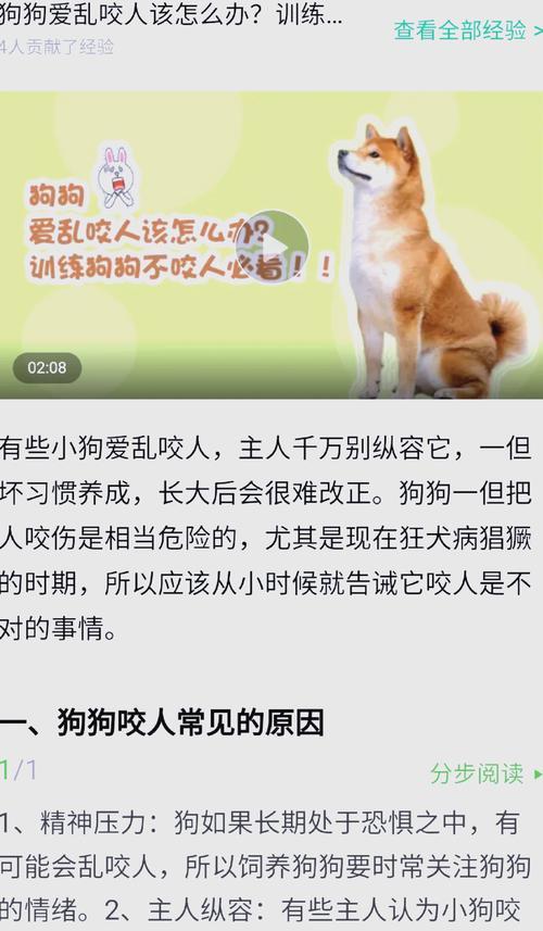 为什么狗狗听不懂你的话？（解析狗狗听不懂主人指令的原因及解决办法）
