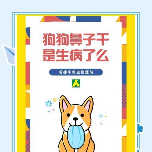 狗狗鼻子越来越黑的原因解析（揭秘狗狗鼻子变黑的原因及生病可能性）