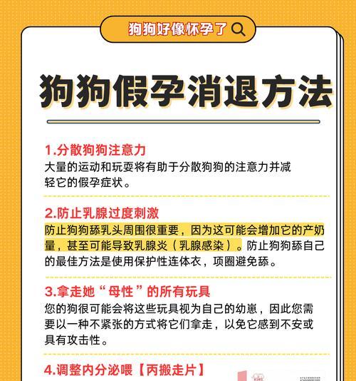 母狗首次配种的注意事项（了解繁殖过程，确保母狗健康）