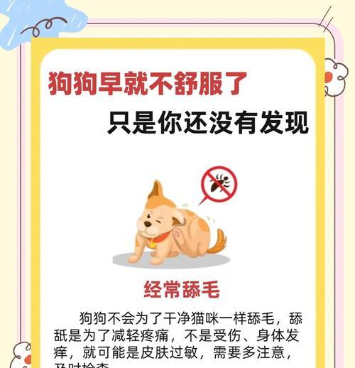 狗狗健康必检查——照顾你的爱宠（了解你的狗狗健康状况，从检查开始）