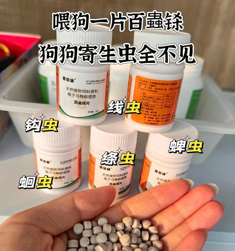 幼犬内驱虫的频率（探究幼犬内驱虫的最佳时间间隔）
