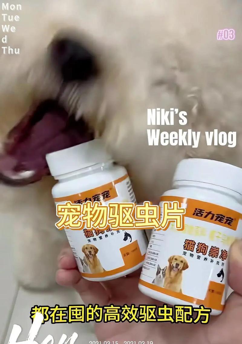 幼犬吃完驱虫药后的饮食安排（幼犬驱虫药后何时可以恢复正常饮食）