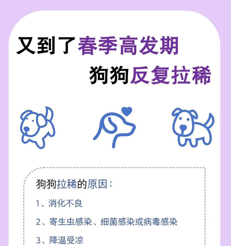 狗狗拉稀的原因、预防和处理方法（让你的宠物远离拉稀困扰，关爱它的健康）