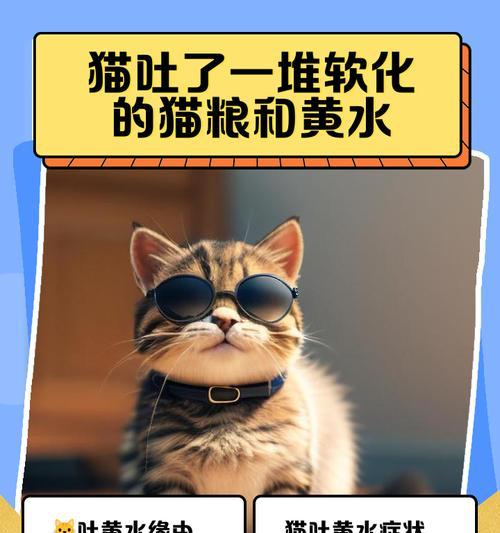 猫吃猫粮后呕吐怎么办（黄水呕吐几天能自愈？）