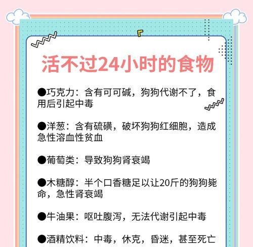 狗狗肠炎禁食期长短的重要性（探究狗狗肠炎禁食时间对康复的关键作用）