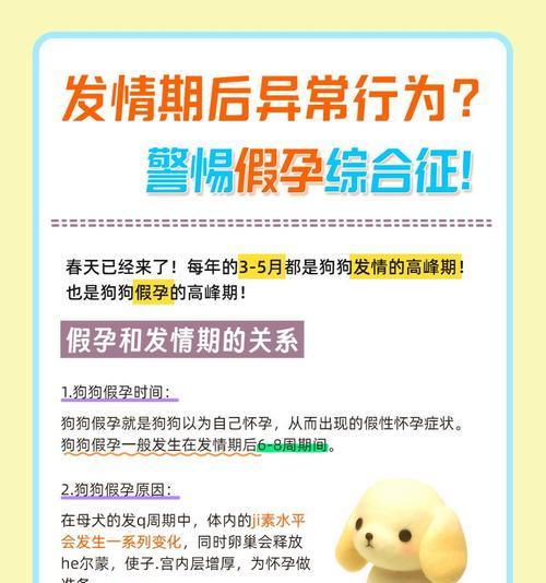 狗狗假怀孕
