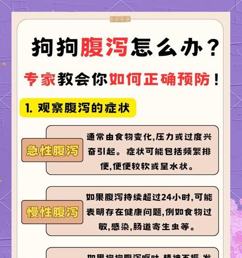 拉布拉多拉稀的处理方法（保暖和调节消化的经验分享）