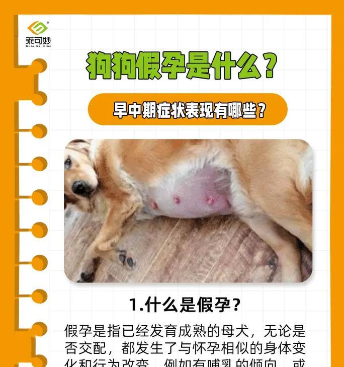 假孕对狗狗的危害及处理方法（了解狗狗的行为反应，保护它们的健康）