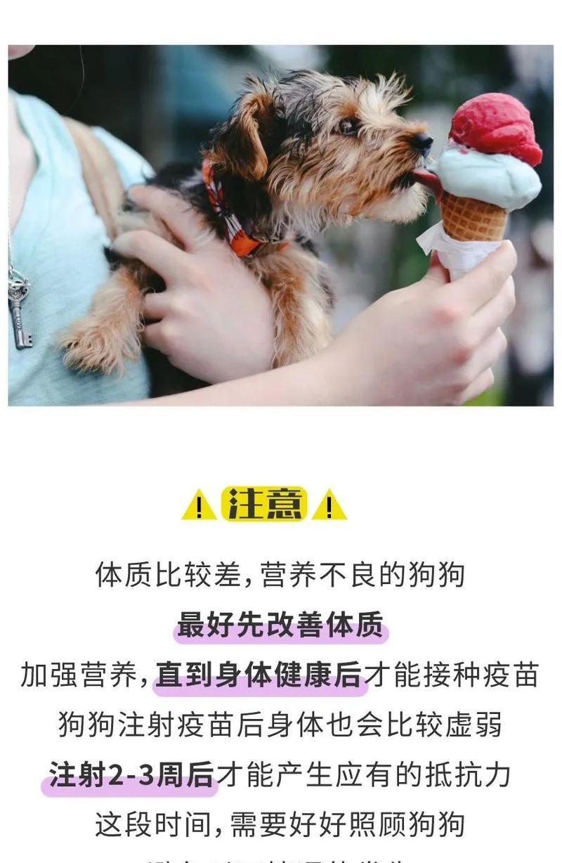 狗狗的疫苗接种须知（从头到尾，保护您的爱宠健康）