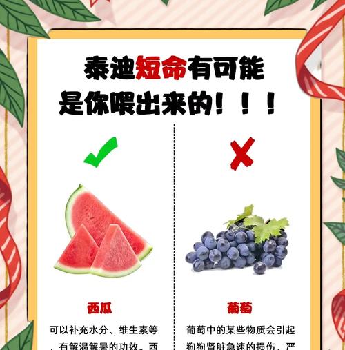 狗狗能喝酸奶吗？（贵宾犬喝酸奶引发腹泻该如何处理？）