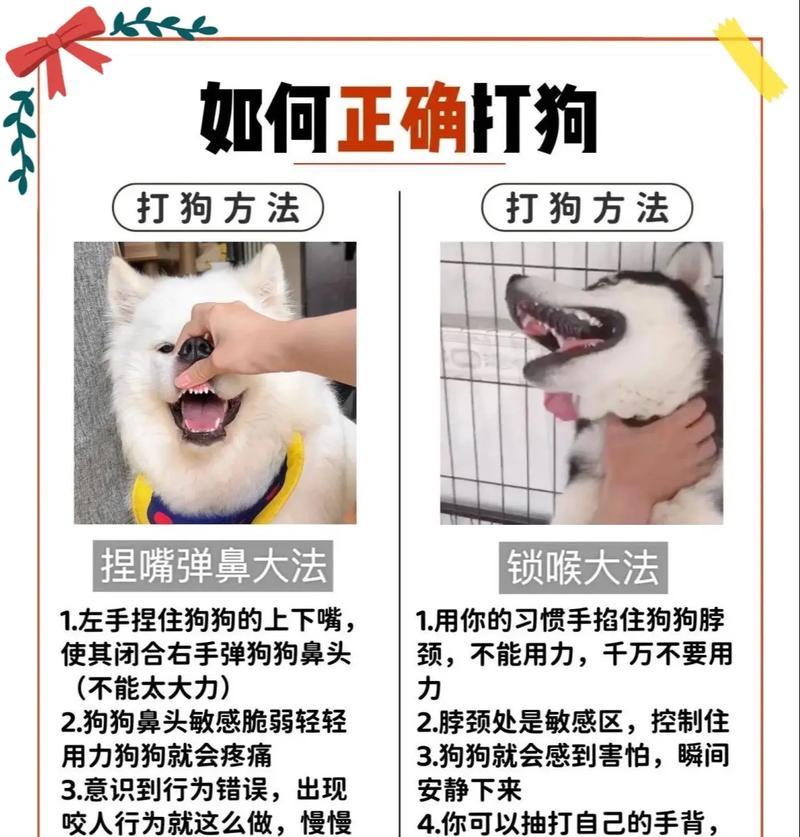 训练德牧更凶猛看家的四个方法（快速训练德牧，让其成为顶级守卫犬）