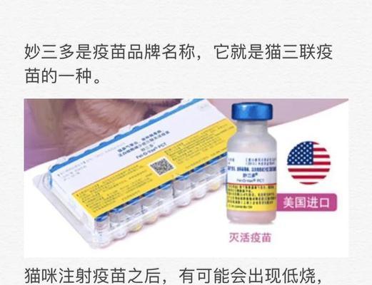 猫咪疫苗必备知识（了解猫咪需要接种的疫苗，让它们健康成长）