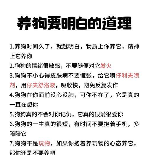 养狗的5大好处，让你的生活更美好（狗狗陪伴你的时光，带来的惊喜和幸福）