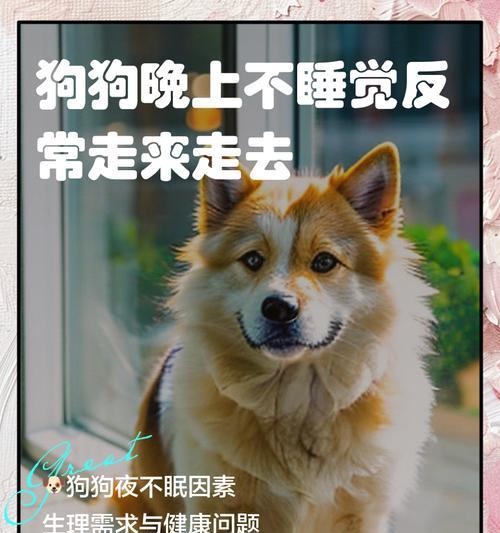 小狗的睡眠时长及其影响因素（了解小狗的睡眠习惯，关注它们的健康成长）
