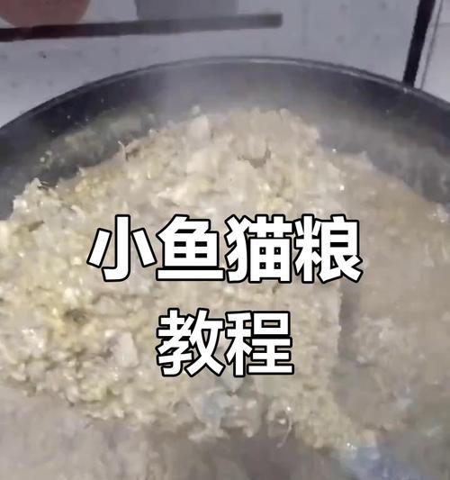 自制干猫粮保存的方法及注意事项（如何正确保存自制干猫粮，保持食品的新鲜度和营养价值）