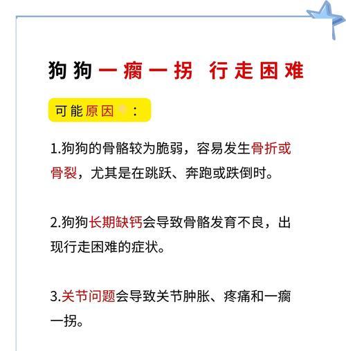 狗狗的瘸腿究竟是真的还是假的？六要素判断法解答