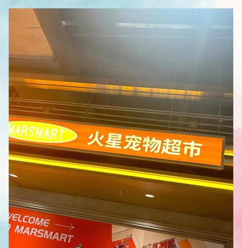 探秘北京宠物店的多元化服务（从宠物用品到医疗护理，北京宠物店一应俱全）