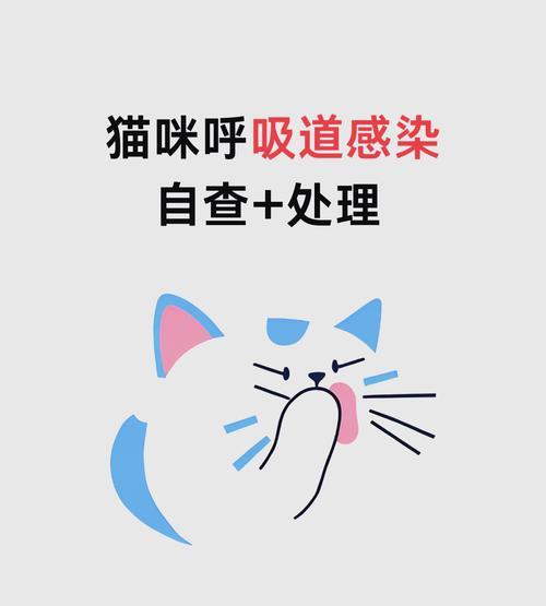 猫咪呼吸频率过高可能的疾病及处理方法（急促呼吸是猫咪健康问题的警示信号）