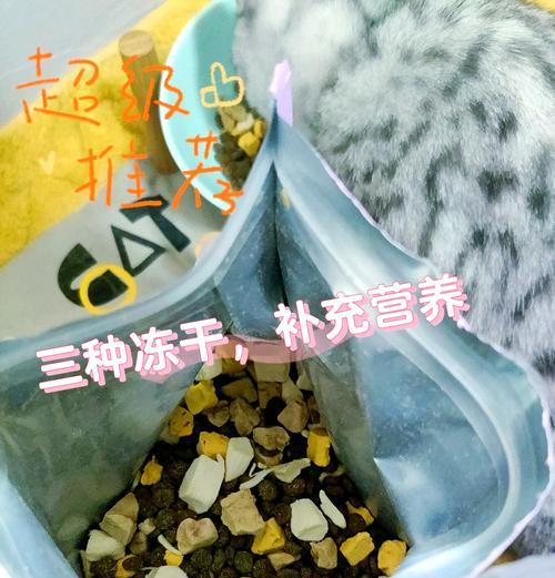 猫咪服用益生菌的效果与时间（揭秘猫咪服用益生菌的奥秘，看看效果到底需要多久！）
