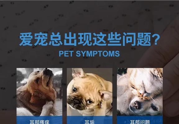 宠物耳螨用药多久才能见效？（探讨宠物耳螨治疗中药效显现的时间和关键因素）