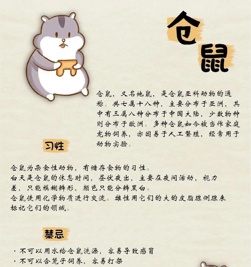 如何正确养护仓鼠——打造舒适的温暖家园（仓鼠的理想温度与生活环境探秘）