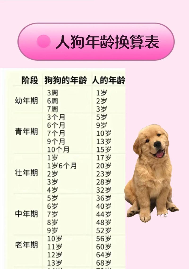 狗狗生完小狗后多久会有奶？（探究母狗产奶的时间和过程）