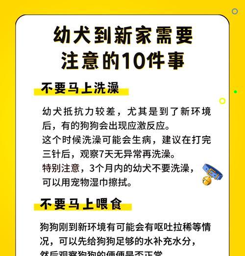 狗狗疫苗接种（掌握狗狗疫苗种类及接种时机，为宠物免疫健康保驾护航）