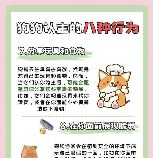 狗狗如何认出主人？（认主的关键是建立强烈的情感纽带）