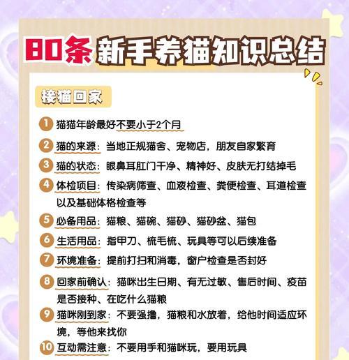 猫咪的排便频率与原因（探究猫咪每日粑粑次数的规律与排便少的可能原因）