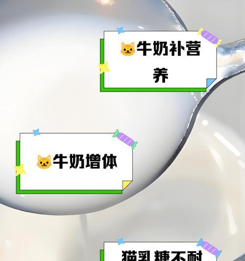 猫咪能否喝牛奶？（了解猫咪喝牛奶的影响与注意事项）