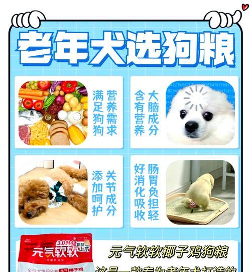 狗狗怀孕的特征和饮食需求（了解狗狗怀孕的迹象，选择适合的狗粮是关键）