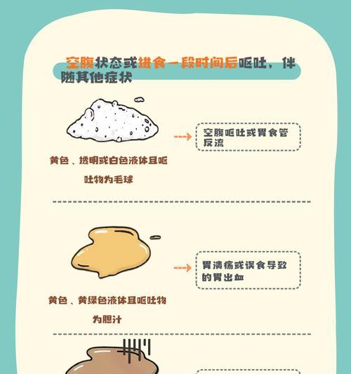 狗狗每月呕吐一次的原因及预防措施（揭秘狗狗呕吐的具体诱发因素，保护它的胃健康）