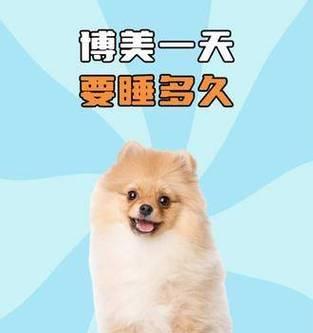 成年狗每天需要睡眠多久？（揭秘成年狗睡眠时间的重要性与规律）