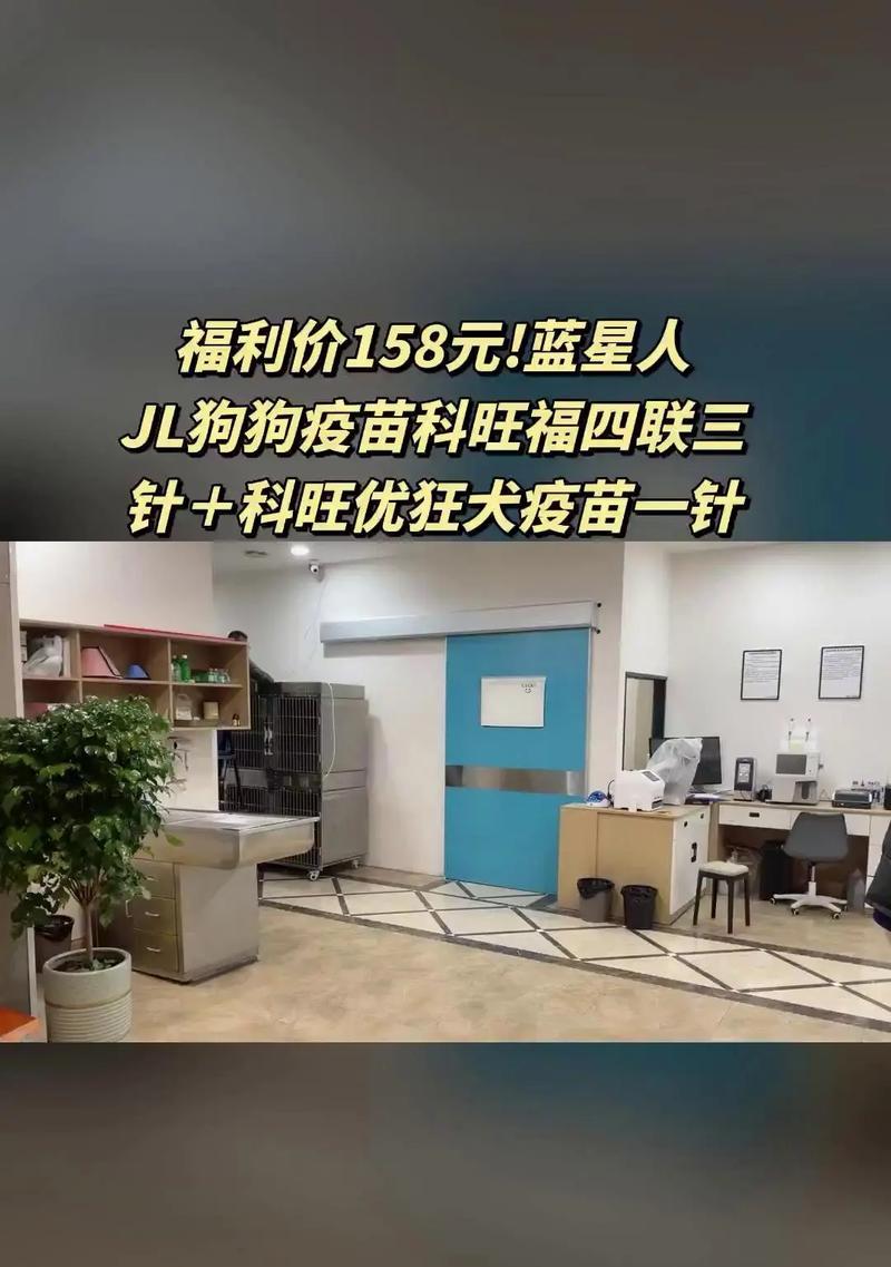 宠物狗进口疫苗（了解宠物狗进口疫苗，让爱犬享受更健康的生活）